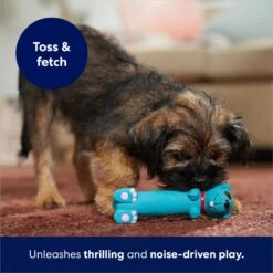 Frisco Latex Squeaky Puppy Toy 10 Frisco Latex Squeaky Puppy Toy -Pet Dog Shop 174775 PT5. AC SS1800 V1691784247