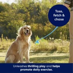 Frisco Ball Launcher & Fetch Squeaky Tennis Ball Dog Toy -Pet Dog Shop 178477 PT3. AC SS1800 V1695241970