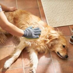 Frisco Dog & Cat Grooming Glove, Right Hand -Pet Dog Shop 206845 PT5. AC SS1800 V1610766425