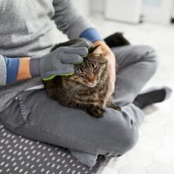 Frisco Dog & Cat Grooming Glove, Right Hand -Pet Dog Shop 206845 PT6. AC SS1800 V1610762805