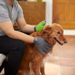 Frisco Dog & Cat Adjustable Grooming Gloves -Pet Dog Shop 206847 PT5. AC SS1800 V1610763673