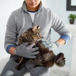 Frisco Dog & Cat Adjustable Grooming Gloves -Pet Dog Shop 206847 PT6. AC SS1800 V1610768190