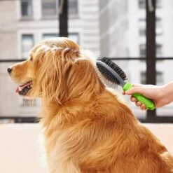 Frisco Cat & Dog Pin Bristle Brush -Pet Dog Shop 206855 PT6. AC SS1800 V1680186157