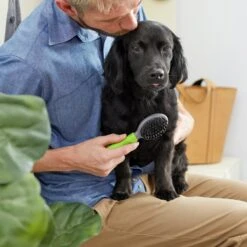 Frisco Cat & Dog Combo Brush, Mini 7 Frisco Cat & Dog Combo Brush, Mini -Pet Dog Shop 206857 PT4. AC SS1800 V1680186386