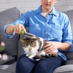 Frisco Cat & Dog Pin Brush 10 Frisco Cat & Dog Pin Brush -Pet Dog Shop 206861 PT7. AC SS1800 V1680186386