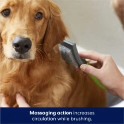 Frisco Self-Cleaning Slicker Dog Brush 10 Frisco Self-Cleaning Slicker Dog Brush -Pet Dog Shop 206863 PT5. AC SS1800 V1680186156