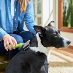 Frisco Soft Slicker Dog Brush, One Size -Pet Dog Shop 206869 PT4. AC SS1800 V1680186388