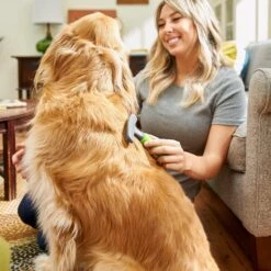 Frisco Shedding Rake Dog & Cat Brush 8 Frisco Shedding Rake Dog & Cat Brush -Pet Dog Shop 206871 PT6. AC SS1800 V1680186390