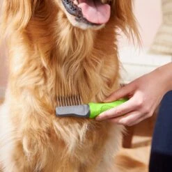 Frisco Dematting Dog Rake, One Size -Pet Dog Shop 206873 PT6. AC SS1800 V1680186104