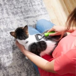 Frisco Dematting Double-Sided Dog & Cat Rake 10 Frisco Dematting Double-Sided Dog & Cat Rake -Pet Dog Shop 206875 PT7. AC SS1800 V1680186159