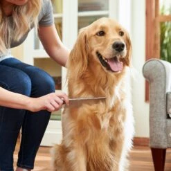 Frisco Metal Dog & Cat Comb -Pet Dog Shop 206882 PT6. AC SS1800 V1680186160