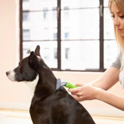 Frisco Deshedding Dog & Cat Brush 9 Frisco Deshedding Dog & Cat Brush -Pet Dog Shop 206892 PT6. AC SS1800 V1680186216