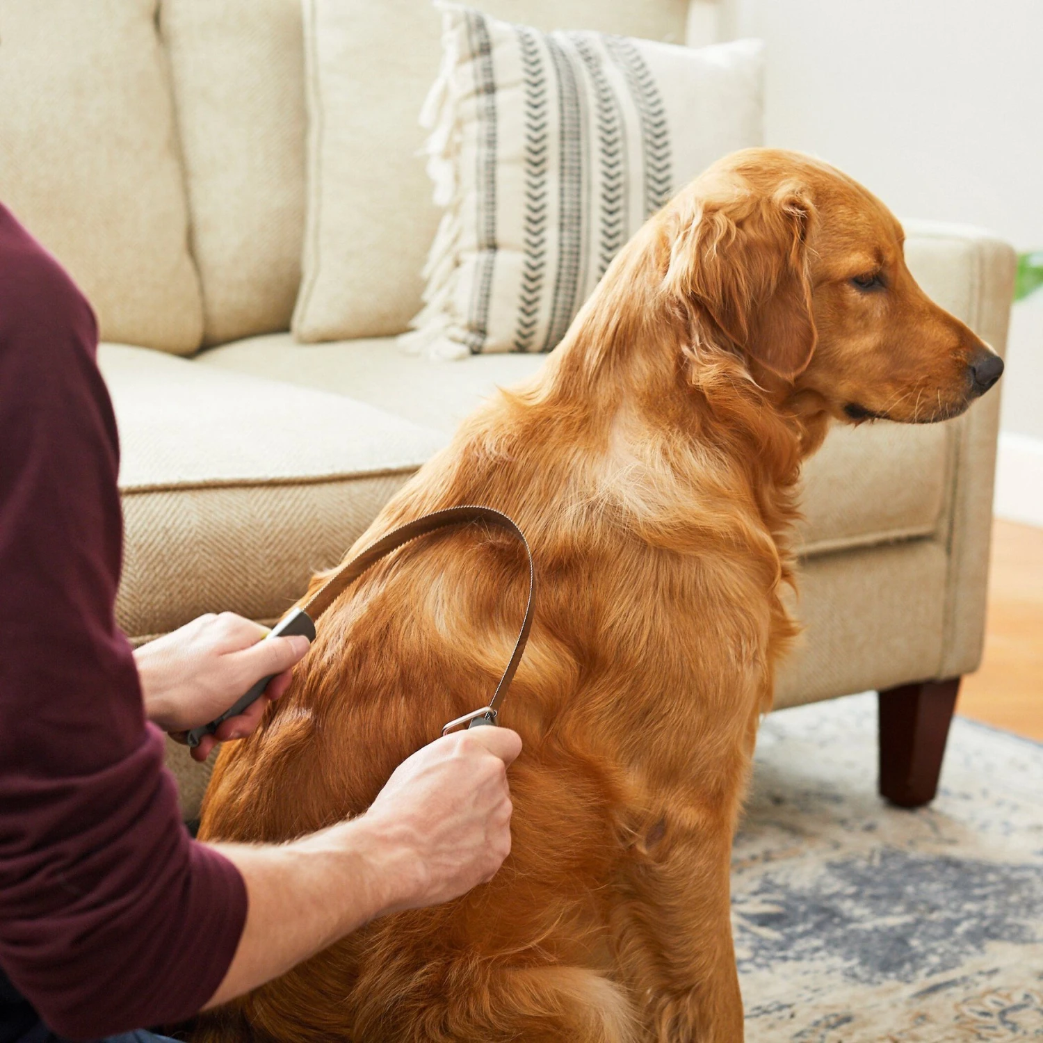 Frisco Shedding Blade Dog Brush, One Size 4 Frisco Shedding Blade Dog Brush, One Size - Image 4