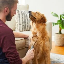 Frisco Shedding Blade Dog Brush, One Size 10 Frisco Shedding Blade Dog Brush, One Size -Pet Dog Shop 206895 PT7. AC SS1800 V1680186159