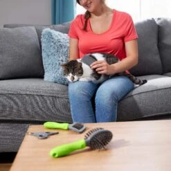 Frisco Beginner Grooming Kit For Dogs And Cats 15 Frisco Beginner Grooming Kit For Dogs And Cats -Pet Dog Shop 206909 PT6. AC SS1800 V1680186162