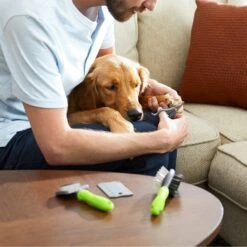 Frisco Beginner Grooming Kit For Dogs And Cats 16 Frisco Beginner Grooming Kit For Dogs And Cats -Pet Dog Shop 206909 PT7. AC SS1800 V1680186156