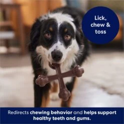 Frisco Bacon Flavor Tough Nylon Dog Chew Toy 10 Frisco Bacon Flavor Tough Nylon Dog Chew Toy -Pet Dog Shop 213430 PT5. AC SS1800 V1691783968