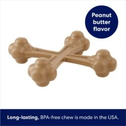 Frisco Peanut Butter Flavor Tough Nylon Dog Chew Toy 8 Frisco Peanut Butter Flavor Tough Nylon Dog Chew Toy -Pet Dog Shop 213436 PT2. AC SS1800 V1692019767
