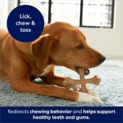 Frisco Peanut Butter Flavor Tough Nylon Dog Chew Toy 10 Frisco Peanut Butter Flavor Tough Nylon Dog Chew Toy -Pet Dog Shop 213436 PT5. AC SS1800 V1692019972