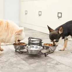 Frisco Multi Pet Feeding 4-Bowls Stainless Steel Dog & Cat Bowls, 0.5 Cup 14 Frisco Multi Pet Feeding 4-Bowls Stainless Steel Dog & Cat Bowls, 0.5 Cup -Pet Dog Shop 213787 PT7. AC SS1800 V1599090064