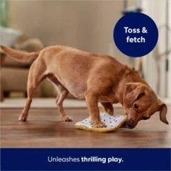 Frisco Frosted Pastry Stuffing-Free Flat Plush Squeaky Dog Toy 10 Frisco Frosted Pastry Stuffing-Free Flat Plush Squeaky Dog Toy -Pet Dog Shop 213812 PT5. AC SS1800 V1686579088