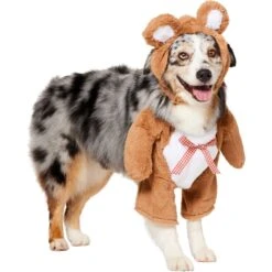 Frisco Front Walking Teddy Bear Dog & Cat Costume 11 Frisco Front Walking Teddy Bear Dog & Cat Costume -Pet Dog Shop 215507 PT3. AC SS1800 V1624402415