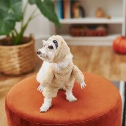 Frisco Front Walking Sloth Dog & Cat Costume -Pet Dog Shop 215539 PT8. AC SS1800 V1599141353