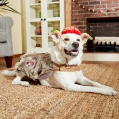 Frisco Zombie Dog & Cat Costume 11 Frisco Zombie Dog & Cat Costume -Pet Dog Shop 215624 PT8. AC SS1800 V1599226580