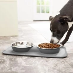 Frisco Heavy Duty Non-Skid Silicone Diner 13 Frisco Heavy Duty Non-Skid Silicone Diner -Pet Dog Shop 215979 PT6. AC SS1800 V1599089765