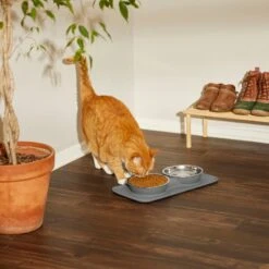 Frisco Heavy Duty Non-Skid Silicone Diner 14 Frisco Heavy Duty Non-Skid Silicone Diner -Pet Dog Shop 215979 PT7. AC SS1800 V1599090986