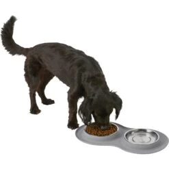 Frisco Double Stainless Steel Pet Bowl With Silicone Mat 13 Frisco Double Stainless Steel Pet Bowl With Silicone Mat -Pet Dog Shop 215986 PT5. AC SS1800 V1605652436