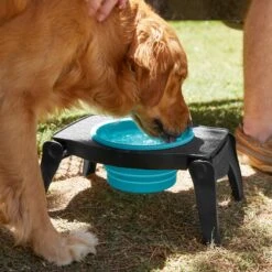 Frisco Elevated Collapsible Travel Bowl 9 Frisco Elevated Collapsible Travel Bowl -Pet Dog Shop 216013 PT7. AC SS1800 V1605653830