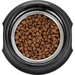 Frisco Stainless Steel Bowl With Elevated Stand -Pet Dog Shop 216020 PT4. AC SS1800 V1591020427