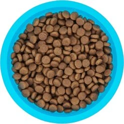 Frisco Plastic Suction Bowl, Blue 12 Frisco Plastic Suction Bowl, Blue -Pet Dog Shop 216037 PT4. AC SS1800 V1591020655