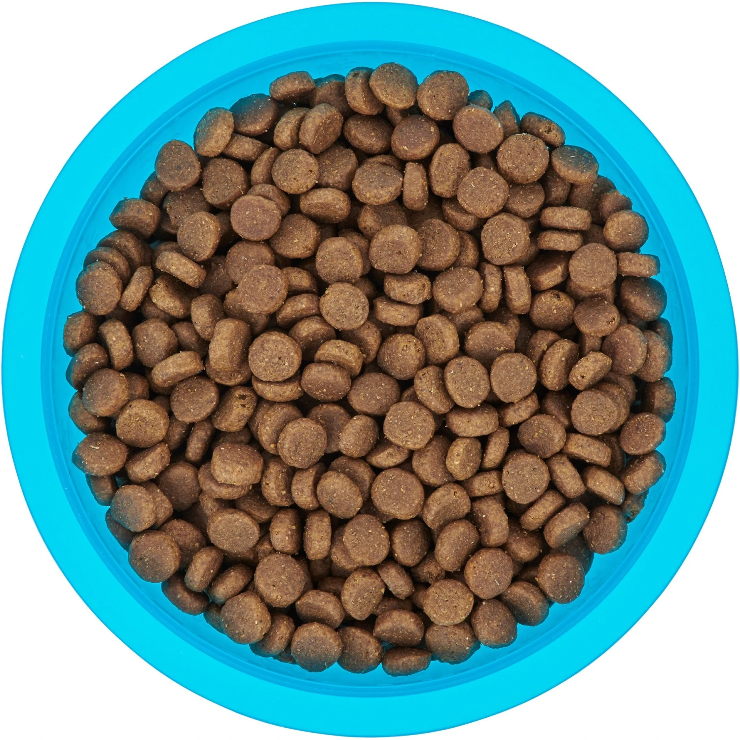 Frisco Plastic Suction Bowl, Blue 5 Frisco Plastic Suction Bowl, Blue - Image 5