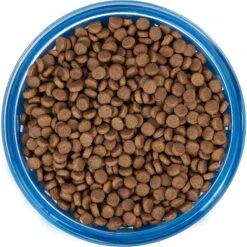 Frisco Chevron Design Glass Bowl With Silicone Sleeve -Pet Dog Shop 216049 PT4. AC SS1800 V1591020735