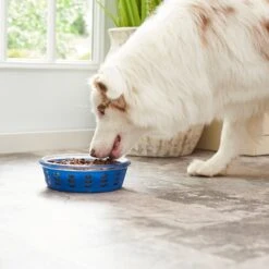 Frisco Chevron Design Glass Bowl With Silicone Sleeve -Pet Dog Shop 216049 PT7. AC SS1800 V1605664319