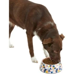 Frisco Colorful Geometric Melamine Bowl 12 Frisco Colorful Geometric Melamine Bowl -Pet Dog Shop 216054 PT6. AC SS1800 V1605658026