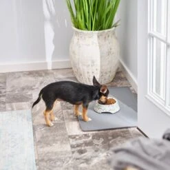 Frisco Chevron Brushed Melamine Bowl 13 Frisco Chevron Brushed Melamine Bowl -Pet Dog Shop 216059 PT7. AC SS1800 V1605654780