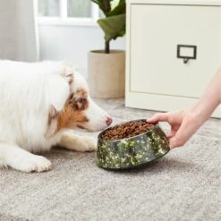 Frisco Camo Paint Splashed Melamine Bowl 13 Frisco Camo Paint Splashed Melamine Bowl -Pet Dog Shop 216066 PT7. AC SS1800 V1605666131