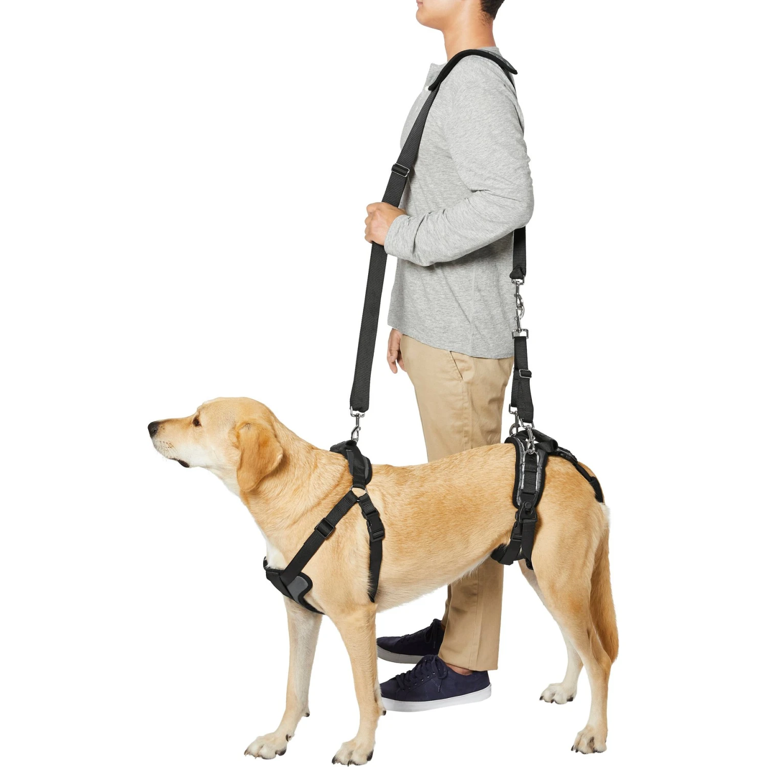 Frisco Front & Rear Lift Handicapped Support Dog Harness 5 Frisco Front & Rear Lift Handicapped Support Dog Harness - Image 5