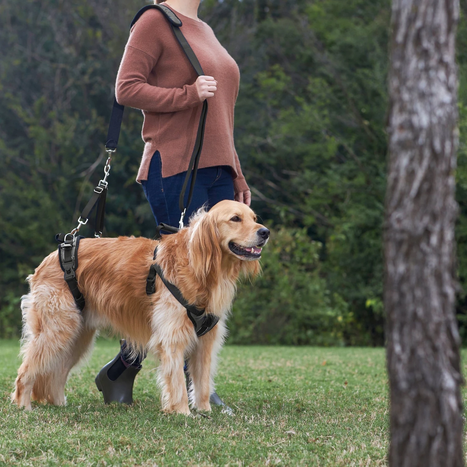 Frisco Front & Rear Lift Handicapped Support Dog Harness 6 Frisco Front & Rear Lift Handicapped Support Dog Harness - Image 6