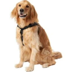Frisco Nylon Step In Back Clip Dog Harness 7 Frisco Nylon Step In Back Clip Dog Harness -Pet Dog Shop 220519 PT2. AC SS1800 V1605591714