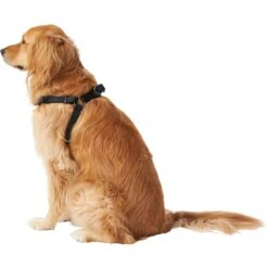 Frisco Nylon Step In Back Clip Dog Harness 8 Frisco Nylon Step In Back Clip Dog Harness -Pet Dog Shop 220519 PT3. AC SS1800 V1605593555