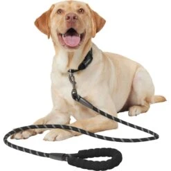 Frisco Rope Dog Leash With Padded Handle 9 Frisco Rope Dog Leash With Padded Handle -Pet Dog Shop 221218 PT3. AC SS1800 V1701796765