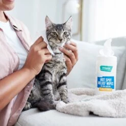 Frisco Hot Spot Relief Wipes -Pet Dog Shop 222163 PT2. AC SS1800 V1602831392