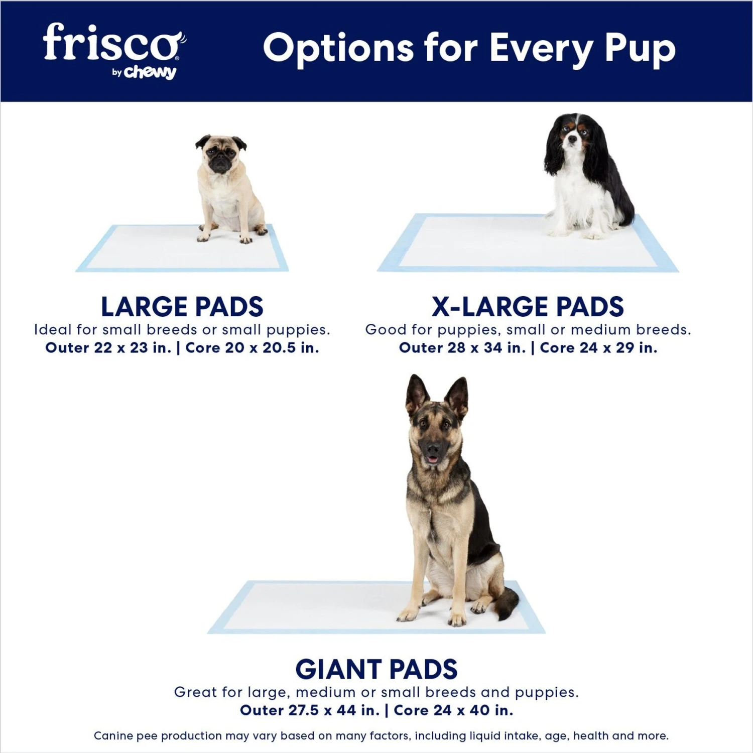 Frisco Charcoal Dog Training & Potty Pads 4 Frisco Charcoal Dog Training & Potty Pads - Image 4