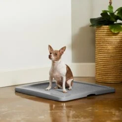 Frisco Training Pad Holder -Pet Dog Shop 227474 PT6. AC SS1800 V1604701643