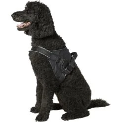 Frisco Big Dog Harness 11 Frisco Big Dog Harness -Pet Dog Shop 227877 PT4. AC SS1800 V1600307761