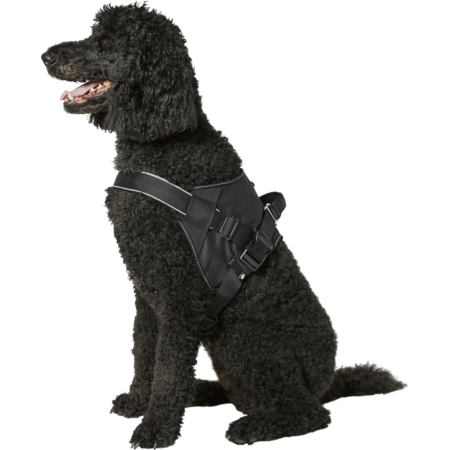 Frisco Big Dog Harness 5 Frisco Big Dog Harness - Image 5
